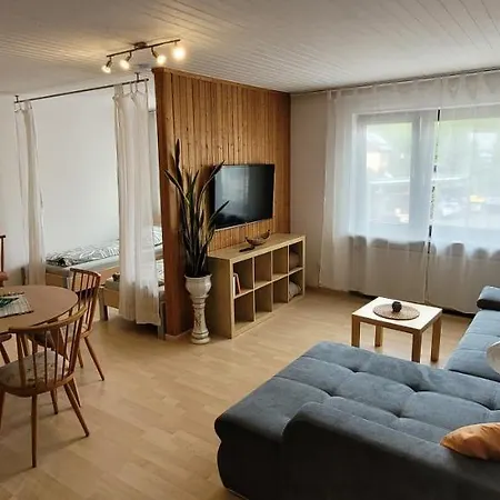 Haus Zehnthof アパート ブルゲン